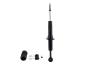 355017 Suspension Strut Assembly - image 1