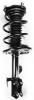4331622R Suspension Strut and Coil Spring Assembly - image 1