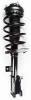4333406L Suspension Strut and Coil Spring Assembly - image 1