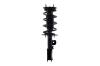 4333489L Suspension Strut and Coil Spring Assembly - image 1