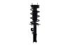 4333489R Suspension Strut and Coil Spring Assembly - image 1