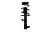 4333564R Suspension Strut and Coil Spring Assembly - image 1