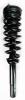 4335790 Suspension Strut and Coil Spring Assembly - image 1