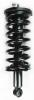 4345497 Suspension Strut and Coil Spring Assembly - image 1