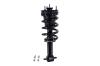 4355037 Suspension Strut and Coil Spring Assembly - image 1