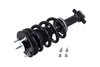 4355037 Suspension Strut and Coil Spring Assembly - image 3