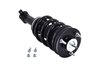4355037 Suspension Strut and Coil Spring Assembly - image 4