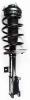 5333406L Suspension Strut and Coil Spring Assembly - image 1