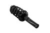 5335576 Suspension Strut and Coil Spring Assembly - image 2