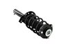 5335576 Suspension Strut and Coil Spring Assembly - image 4