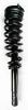 5335790 Suspension Strut and Coil Spring Assembly - image 1