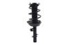 5335909L Suspension Strut and Coil Spring Assembly - image 1