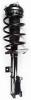 6333406L Suspension Strut and Coil Spring Assembly - image 1