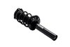 6335576 Suspension Strut and Coil Spring Assembly - image 2