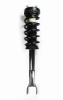 6345799 Suspension Strut and Coil Spring Assembly - image 1