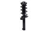 7335576 Suspension Strut and Coil Spring Assembly - image 1