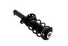 7335576 Suspension Strut and Coil Spring Assembly - image 4