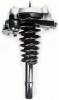 8335532R Suspension Strut and Coil Spring Assembly - image 1