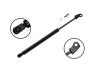 84569L Hood Lift Support - image 1