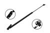 84733 Tailgate Lift Support - image 1