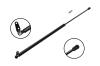 84915 Tailgate Lift Support - image 1