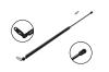 84916 Tailgate Lift Support - image 1
