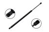 86101 Liftgate Lift Support - image 1