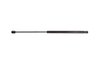 87017 Liftgate Lift Support - image 2