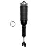 99001 Air Suspension Strut Assembly - image 1
