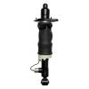 99002 Air Suspension Strut Assembly - image 1