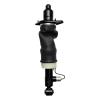 99003 Air Suspension Strut Assembly - image 1