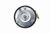 99019 Air Suspension Strut Assembly - image 2