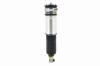 99020 Air Suspension Strut Assembly - image 1