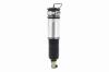 99022 Electronic Air Suspension Strut Assembly - image 1