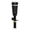 99023 Air Suspension Strut Assembly - image 1