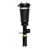 99024 Air Suspension Strut Assembly - image 1
