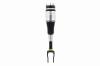 99037 Air Suspension Strut Assembly - image 1