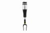 99038 Air Suspension Strut Assembly - image 1