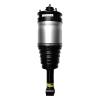99039 Air Suspension Strut Assembly - image 1
