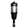 99040 Air Suspension Strut Assembly - image 1