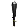 99041 Air Suspension Strut Assembly - image 1