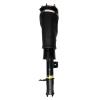 99042 Air Suspension Strut Assembly - image 1