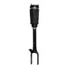 99055 Air Suspension Strut Assembly - image 1
