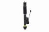99059 Electronic Air Suspension Shock Assembly - image 1