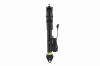 99065 Electronic Air Suspension Shock Assembly - image 1