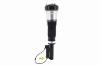 99067 Electronic Air Suspension Strut Assembly - image 1