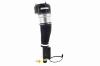 99069 Electronic Air Suspension Strut Assembly - image 1