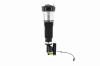 99070 Electronic Air Suspension Strut Assembly - image 1