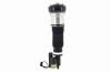 99071 Electronic Air Suspension Strut Assembly - image 1