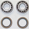 Front Bearing and Seal Kit Seal Diameter: 1.175" - image 1